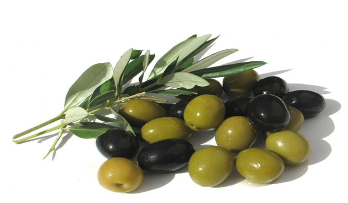 ZEYTİN